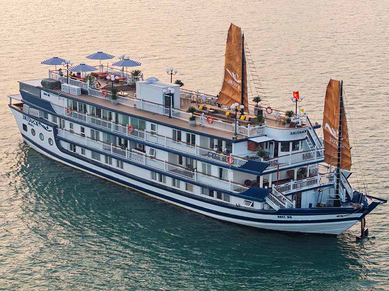 Signature Cruise - 2 Days 1 Night - Halong Bay & Bai Tu Long Bay