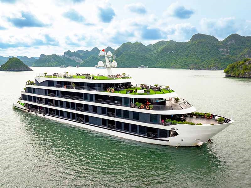 Venus Cruise - 2 Days 1 Night - Halong Bay & Lan Ha Bay