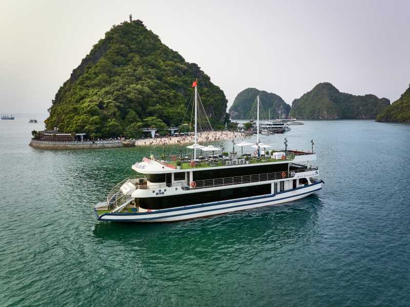 arcady-premium-cruise